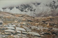 /album/vskostal/kotas-2-jpg/